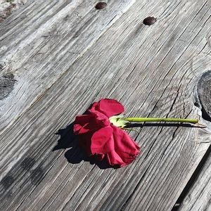 Meet your Posher, Nikki